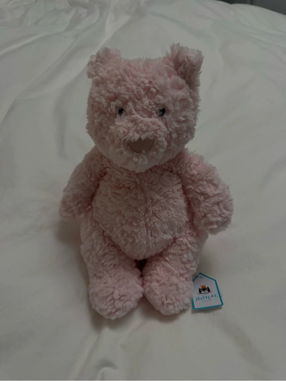 Leola Jellycat Pink Plush Bear - Soft Cute Comfort Toy